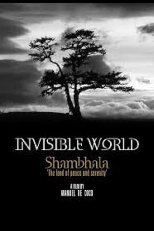 Invisible World Invisible World