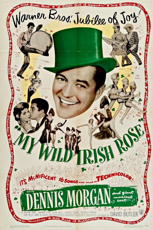 My Wild Irish Rose My Wild Irish Rose