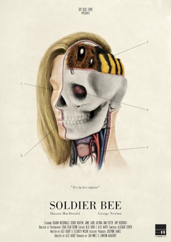Soldier Bee Soldier Bee