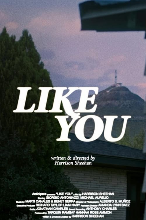 Like You Like You