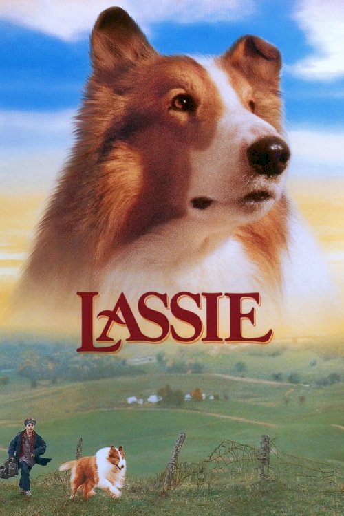 Lassie Lassie