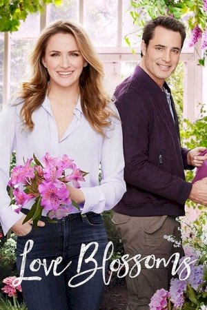 Love Blossoms Love Blossoms