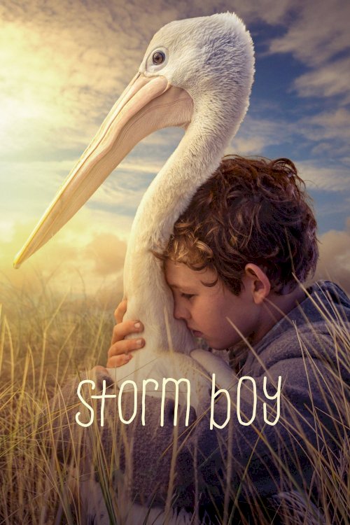 Storm Boy Storm Boy