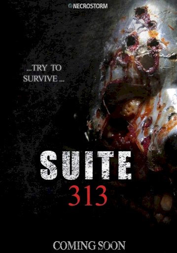 Suite 313 Suite 313