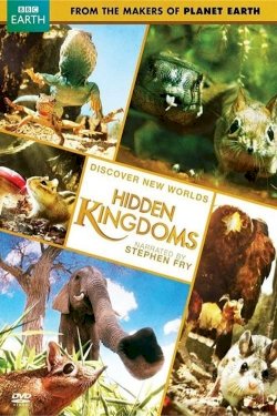 Hidden Kingdoms Hidden Kingdoms