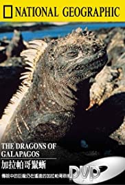 The Dragons of Galapagos The Dragons of Galapagos