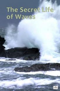 The Secret Life of Waves