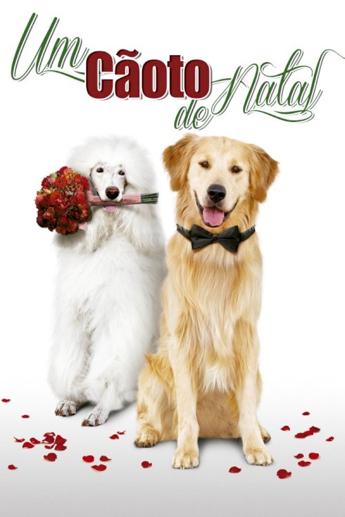 A Christmas Wedding Tail A Christmas Wedding Tail