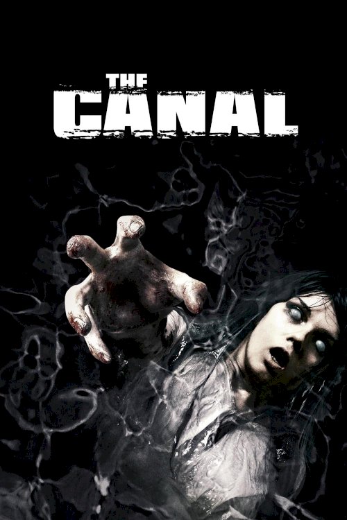 The Canal The Canal