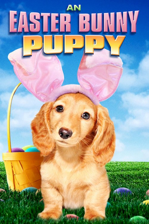 An Easter Bunny Puppy An Easter Bunny Puppy