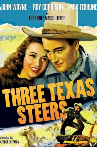 Three Texas Steers Three Texas Steers