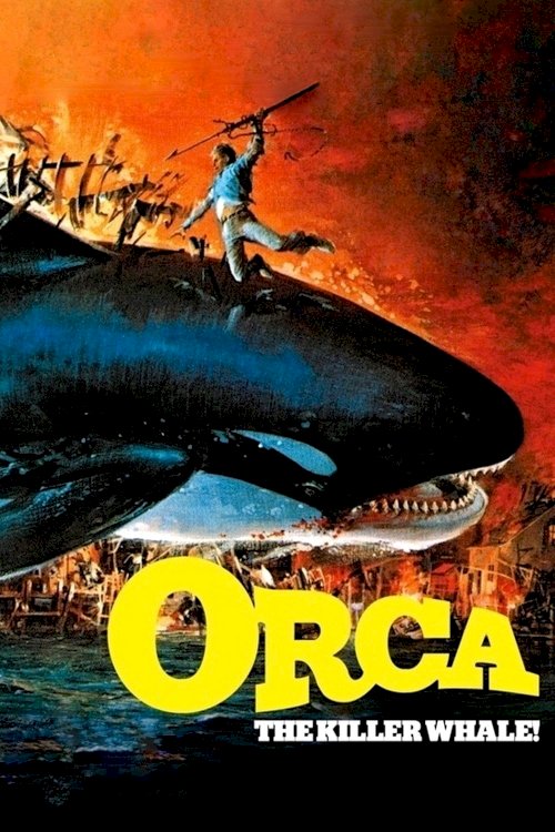 Orca Orca