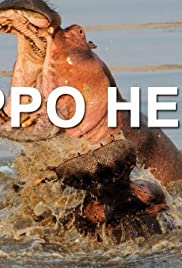 Hippo Hell Hippo Hell