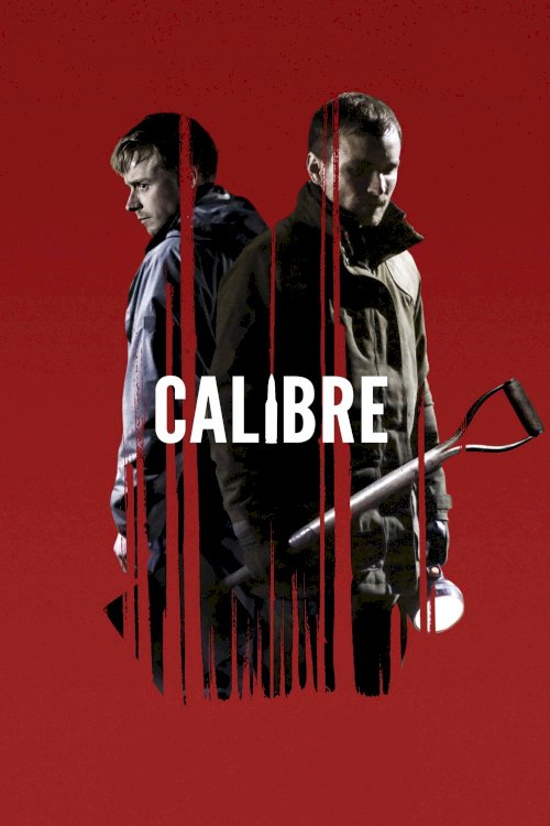 Calibre Calibre