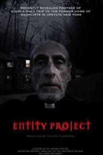 Entity Project Entity Project