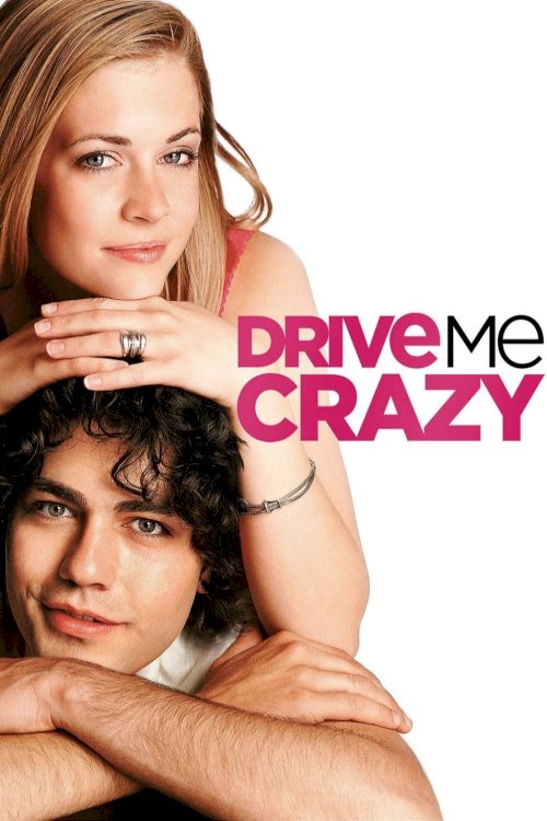 Drive Me Crazy Drive Me Crazy