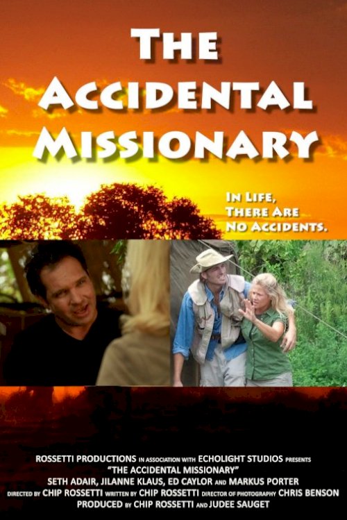 The Accidental Missionary The Accidental Missionary
