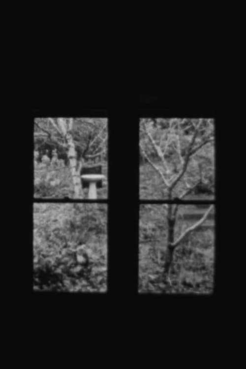 In and Out a Window In and Out a Window