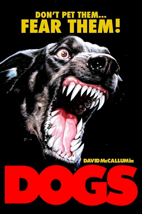 Dogs Dogs