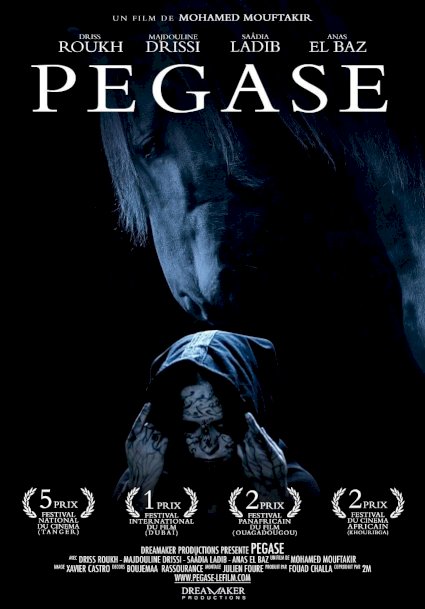 Pegasus Pegasus