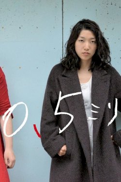 0.5 mm 0.5 mm