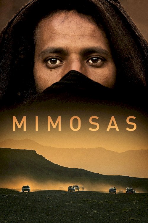 Mimosas Mimosas