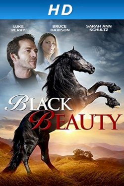 Black Beauty Black Beauty