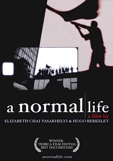 A Normal Life A Normal Life