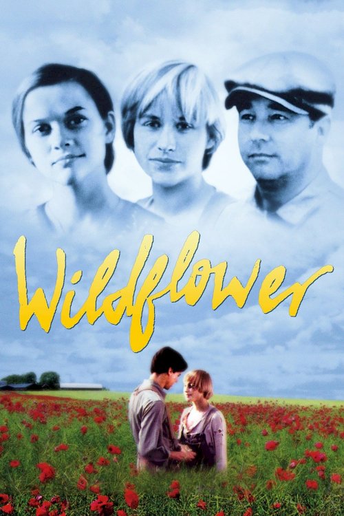 Wildflower Wildflower
