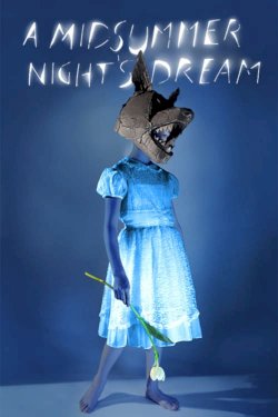 A Midsummer Night's Dream A Midsummer Night's Dream