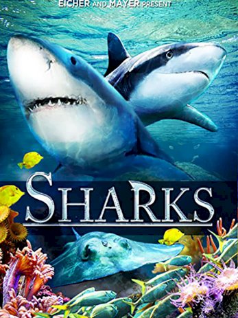 Sharks (in 3D) Sharks (in 3D)