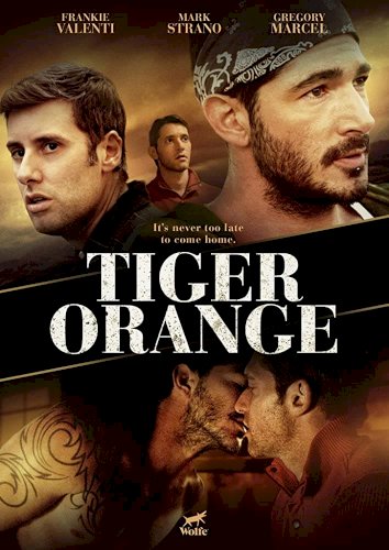 Tiger Orange Tiger Orange
