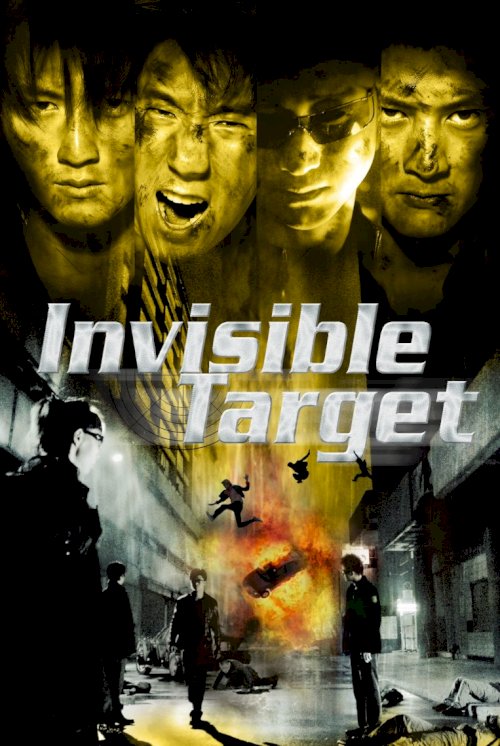 Invisible Target Invisible Target