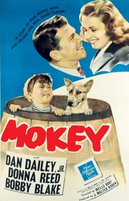Mokey Mokey