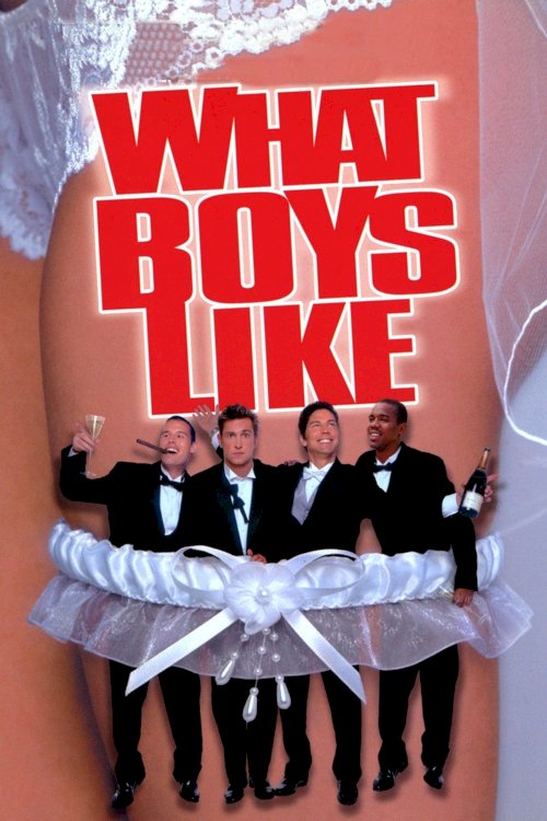 What Boys Like What Boys Like