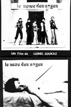 The Sex of the Angels The Sex of the Angels