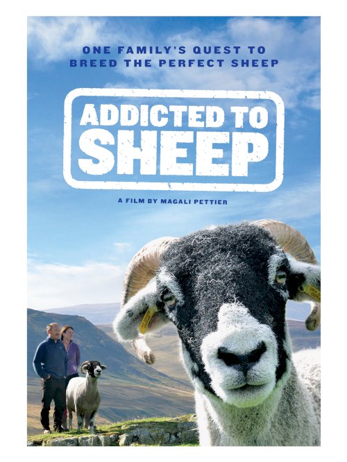 Addicted to Sheep Addicted to Sheep