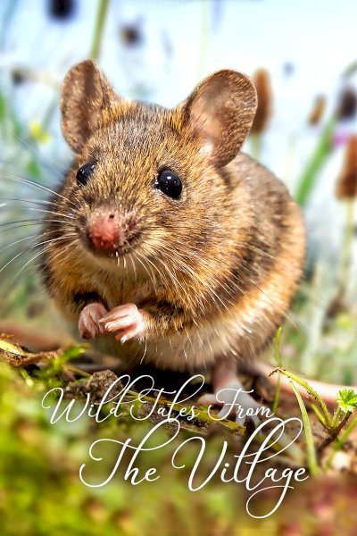 Wild Tales From The Village