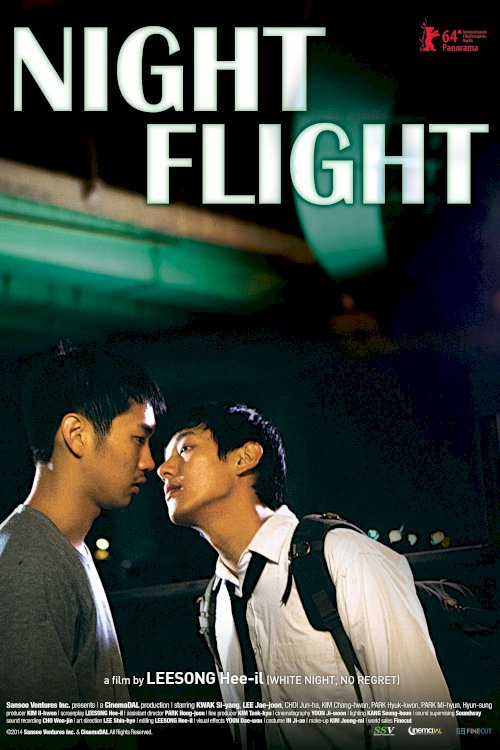 Night Flight Night Flight