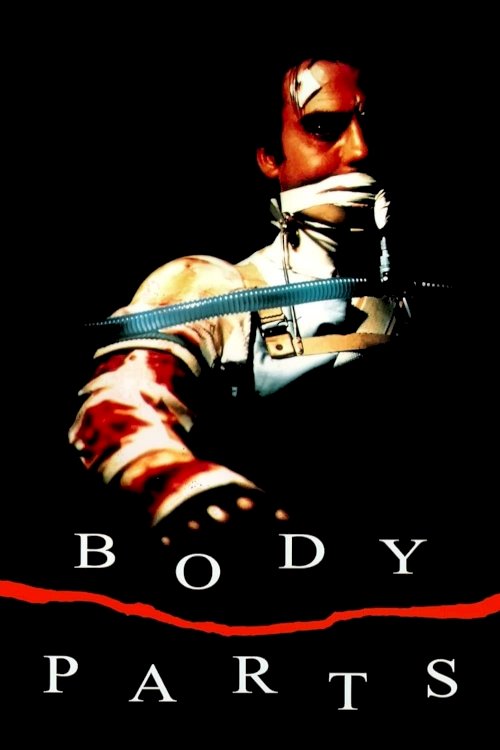 Body Parts Body Parts