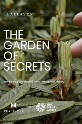 The Garden of Secrets The Garden of Secrets