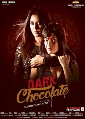 Dark Chocolate Dark Chocolate