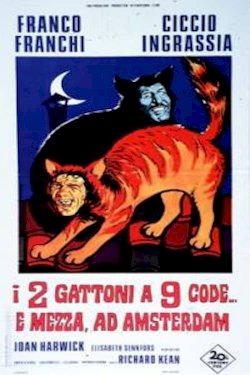 I due gattoni a nove code... e mezza ad Amsterdam I due gattoni a nove code... e mezza ad Amsterdam