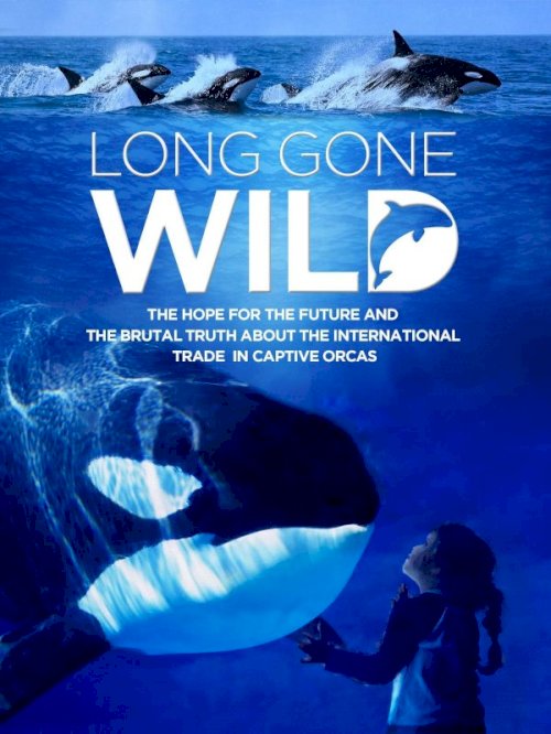 Long Gone Wild Long Gone Wild