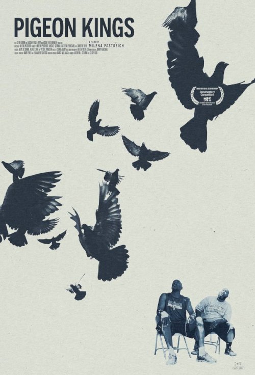 Pigeon Kings Pigeon Kings