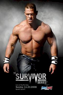 WWE Survivor Series 2008 WWE Survivor Series 2008