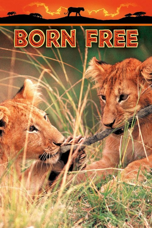 Born Free Born Free