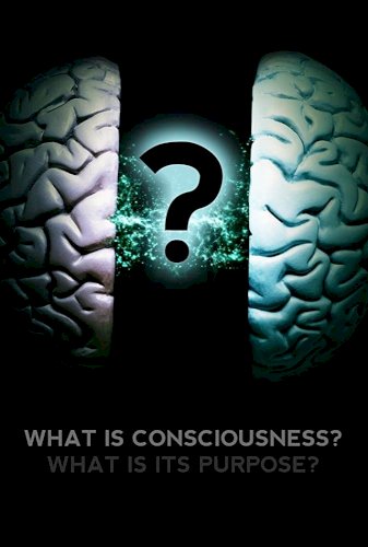What Is Consciousness? What Is Its Purpose? What Is Consciousness? What Is Its Purpose?
