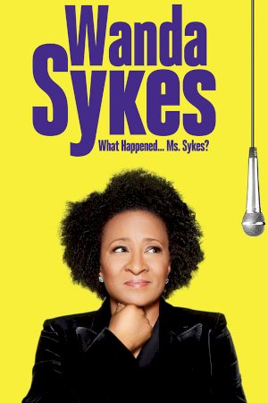 Wanda Sykes: What Happened… Ms. Sykes? Wanda Sykes: What Happened… Ms. Sykes?