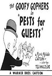 Pests for Guests Pests for Guests